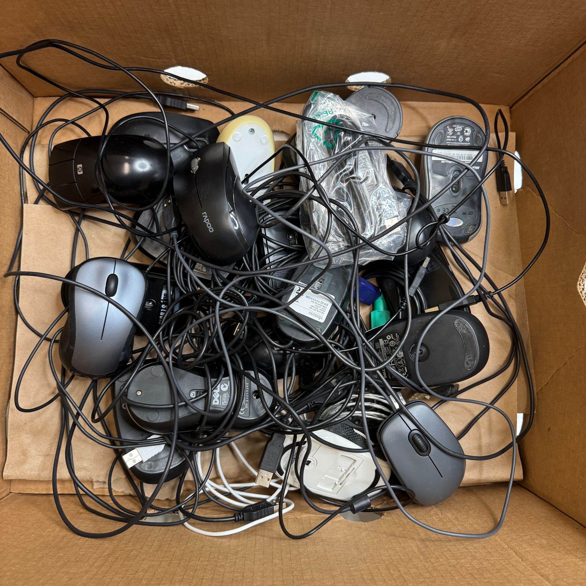 Computer Maus Set 35 Stk. / 5€ pro Stk.
